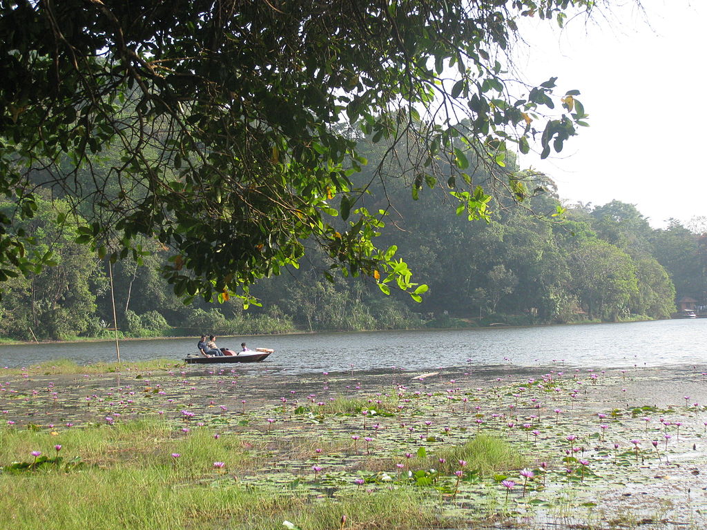 Places to see in Wayanad
