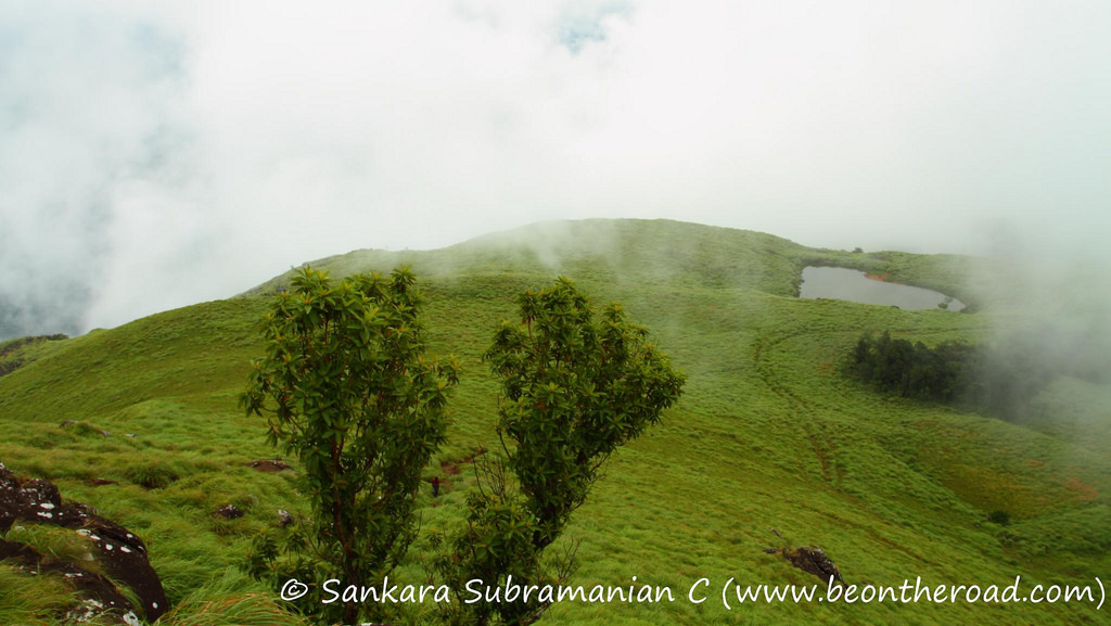 Places to Visit in Wayanad