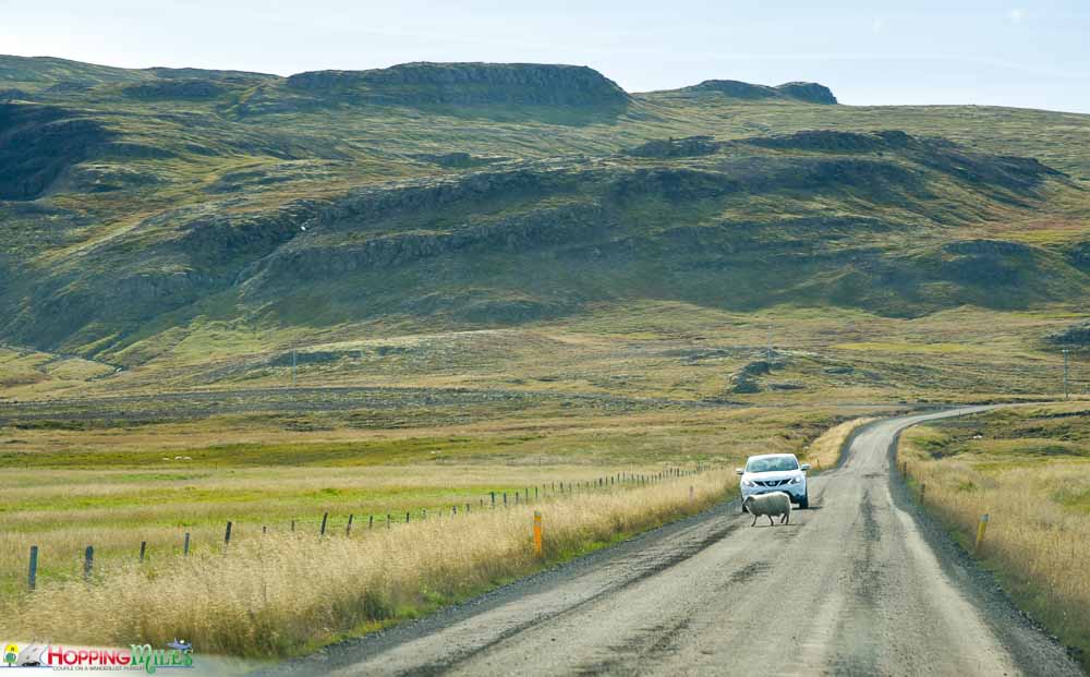 Driving in Iceland